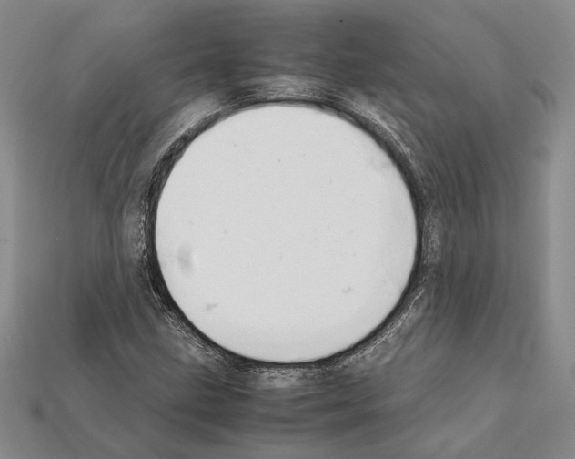 X0000112211211200909181547