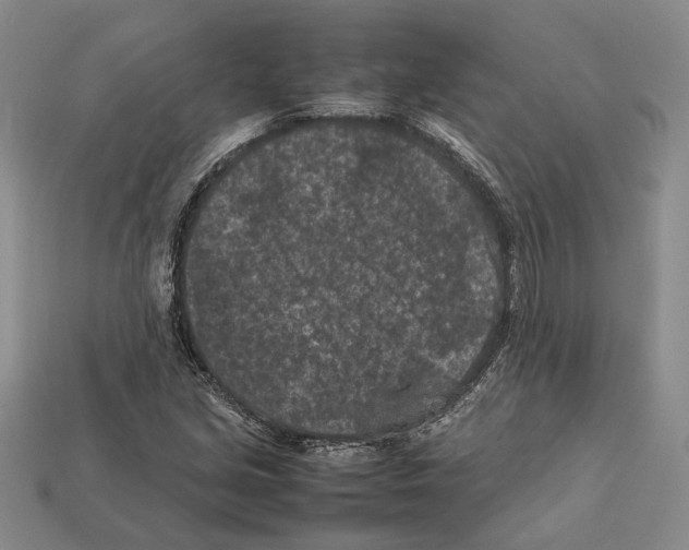 X0000112211213200909181547