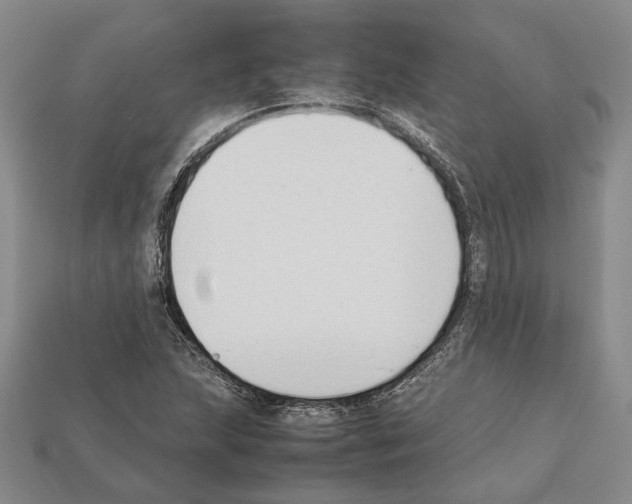 X0000112211215200909181547