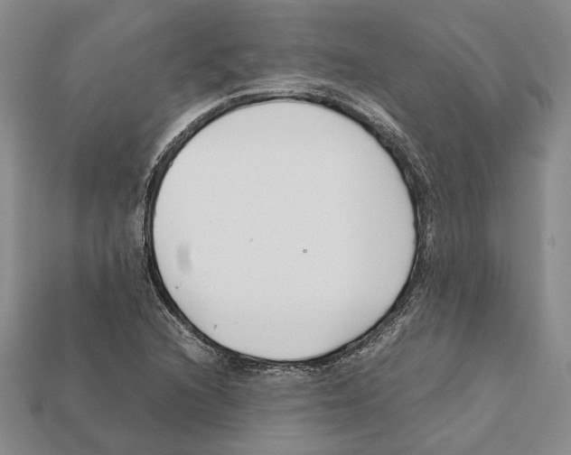 X0000112211216200909181547