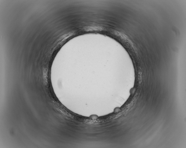 X0000112211217200909181547