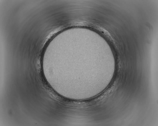 X0000112211218200909181547