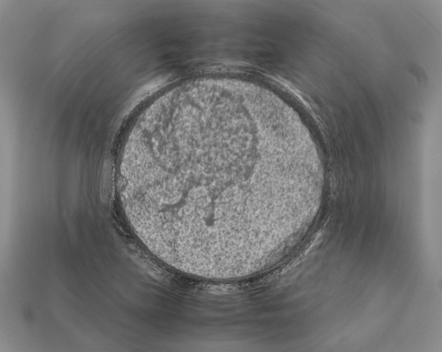 X0000112211219200909181547