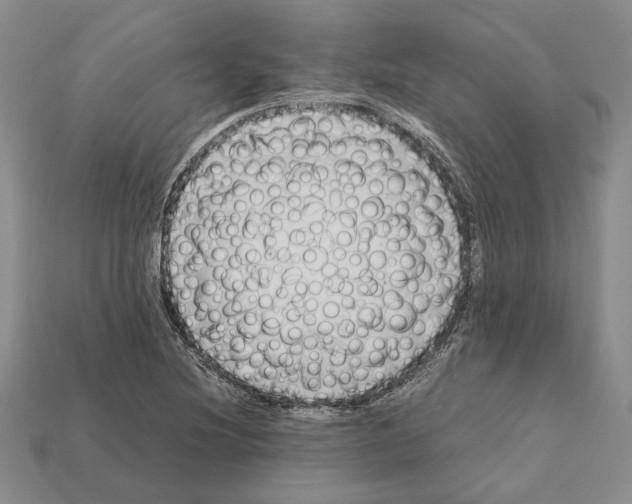 X0000112211220200909181547