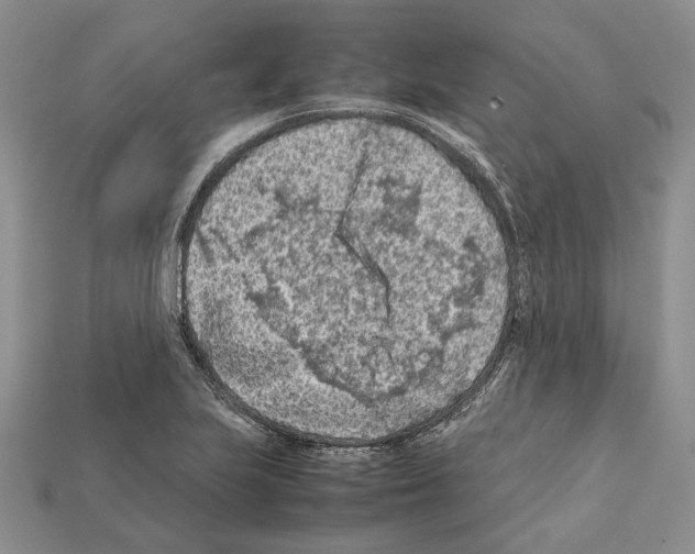 X0000112211223200909181547
