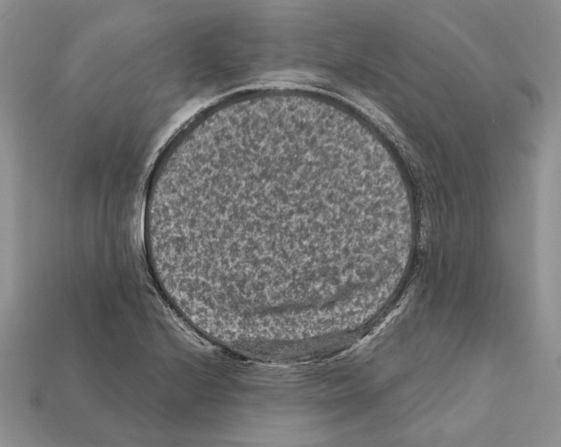 X0000112211224200909181547