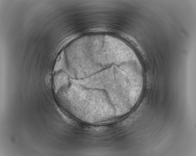 X0000112211225200909181547