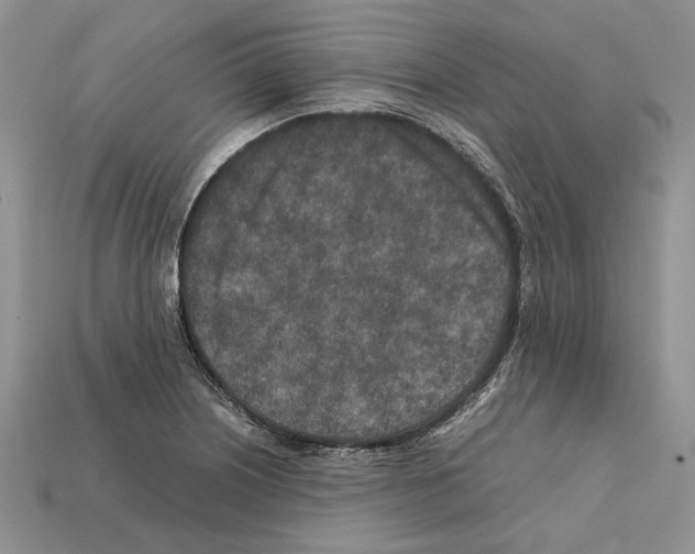 X0000112211226200909181547