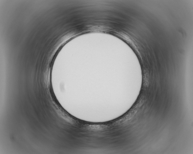 X0000112211227200909181547