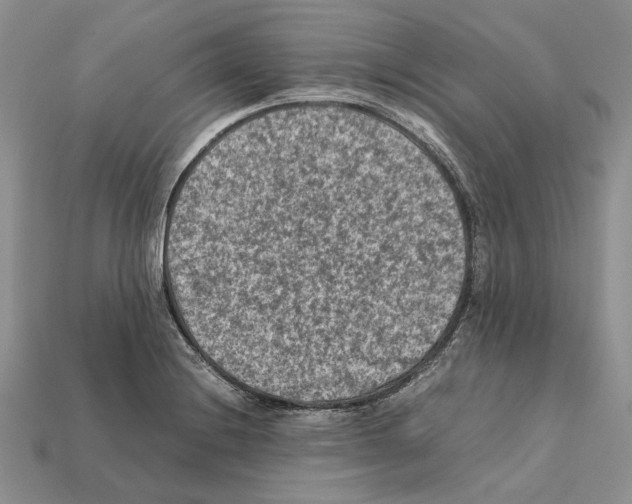 X0000112211228200909181547