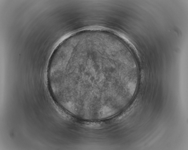 X0000112211229200909181547