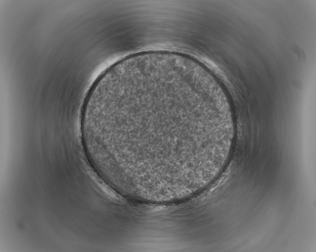 X0000112211230200909181547