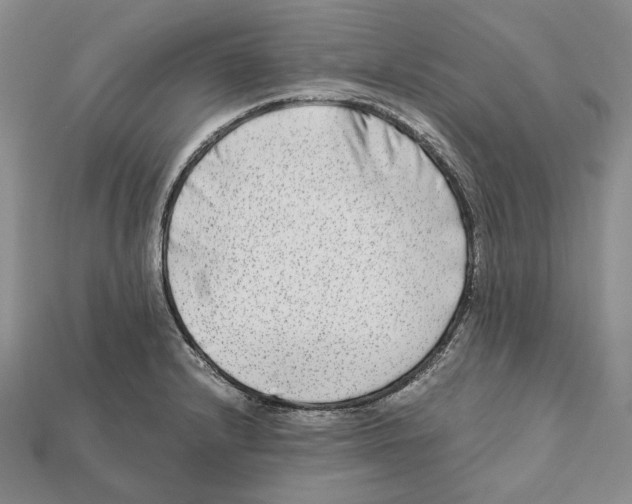 X0000112211232200909181547