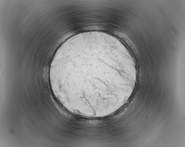 X0000112211233200909181547