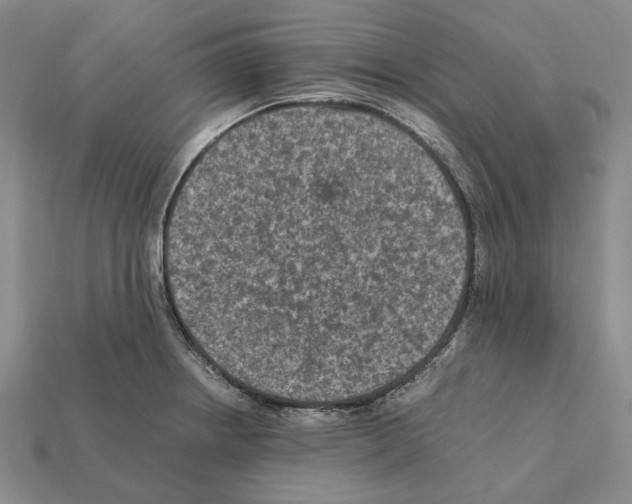 X0000112211234200909181547