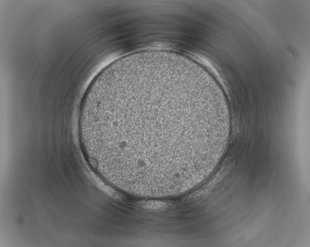 X0000112211235200909181547
