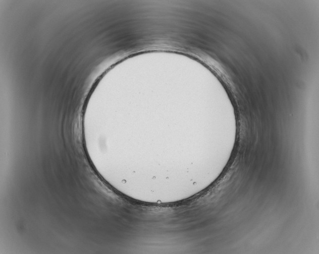 X0000112211238200909181547