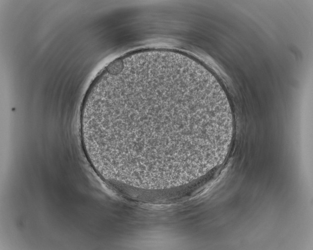 X0000112211240200909181547