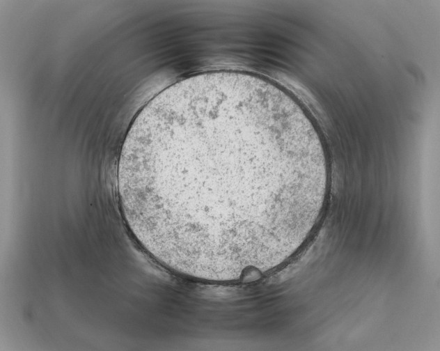 X0000112211241200909181547