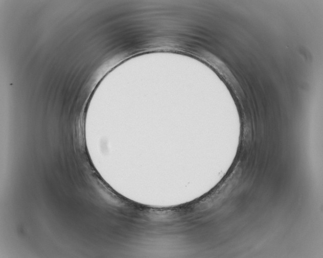 X0000112211242200909181547
