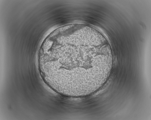 X0000112211243200909181547