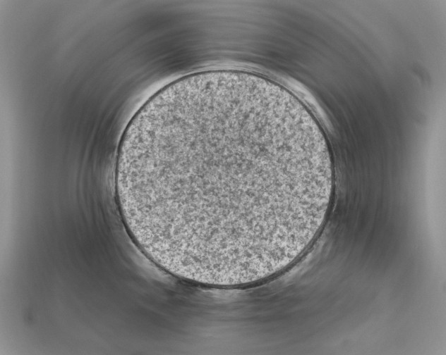 X0000112211244200909181547