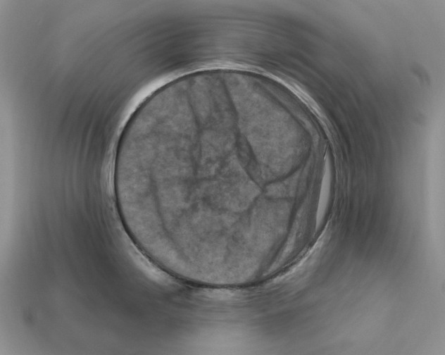 X0000112211246200909181547