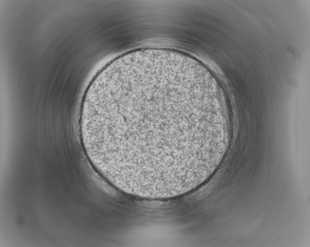 X0000112211248200909181547