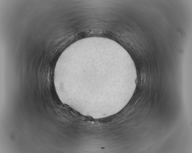 X0000112211250200909181547