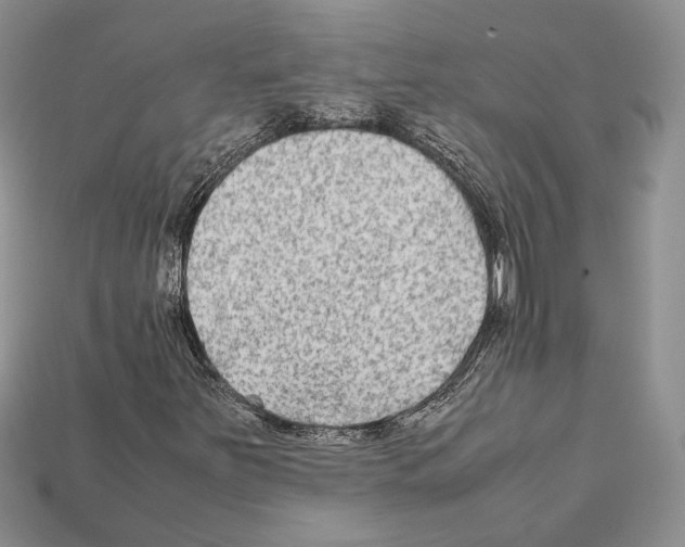 X0000112211251200909181546