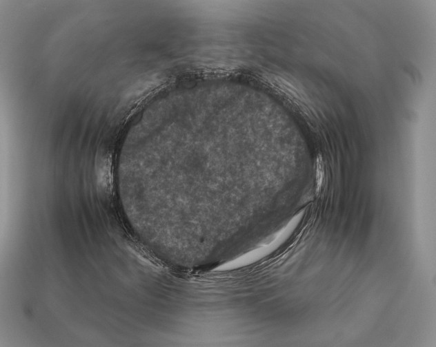X0000112211252200909181546