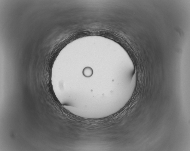 X0000112211253200909181546