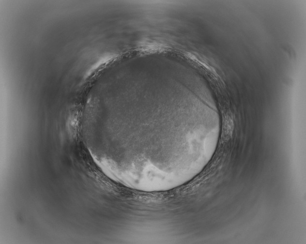 X0000112211254200909181546