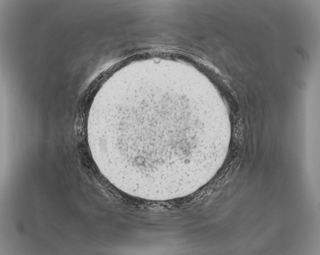 X0000112211255200909181546