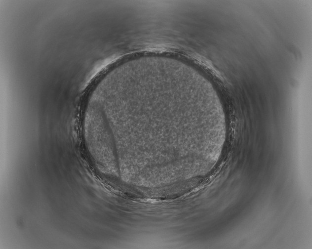 X0000112211256200909181546