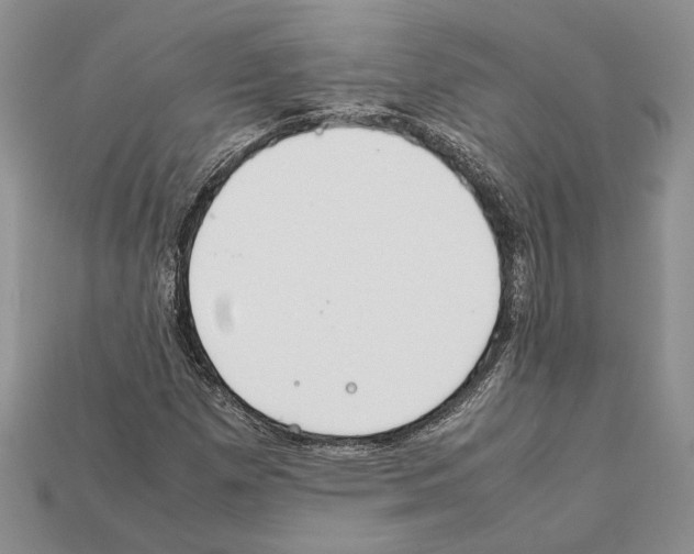 X0000112211257200909181546