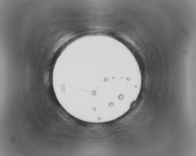 X0000112211259200909181546