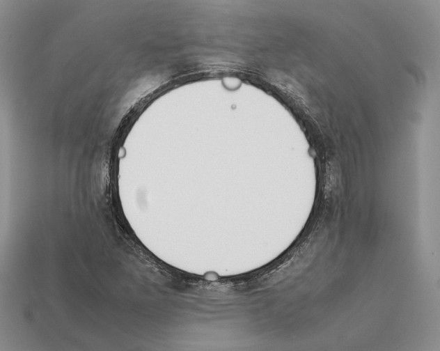 X0000112211261200909181546