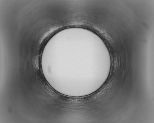 X0000112211262200909181546