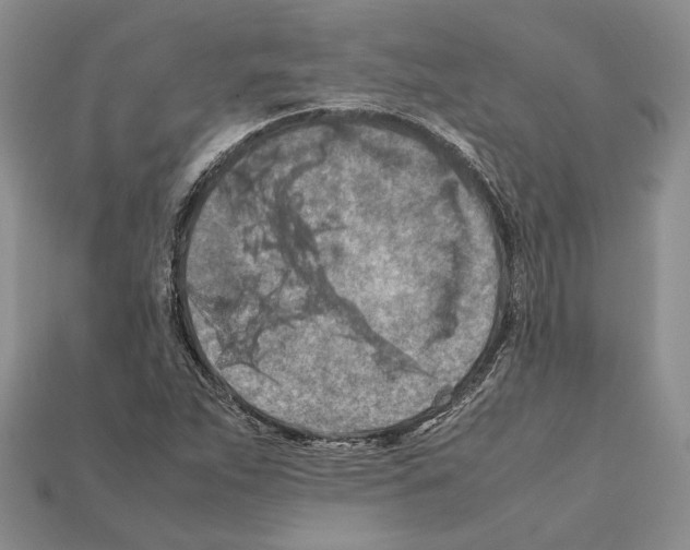 X0000112211263200909181546