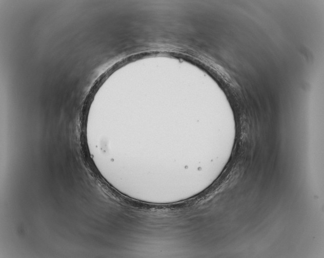 X0000112211264200909181546