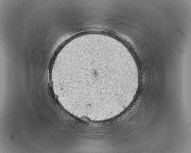 X0000112211267200909181546