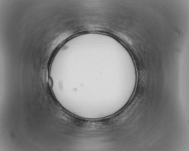 X0000112211269200909181546