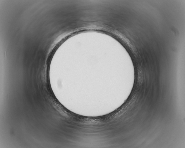 X0000112211270200909181546