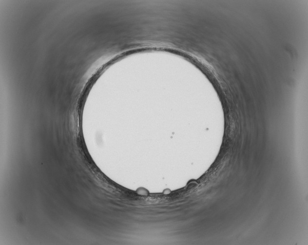 X0000112211271200909181546