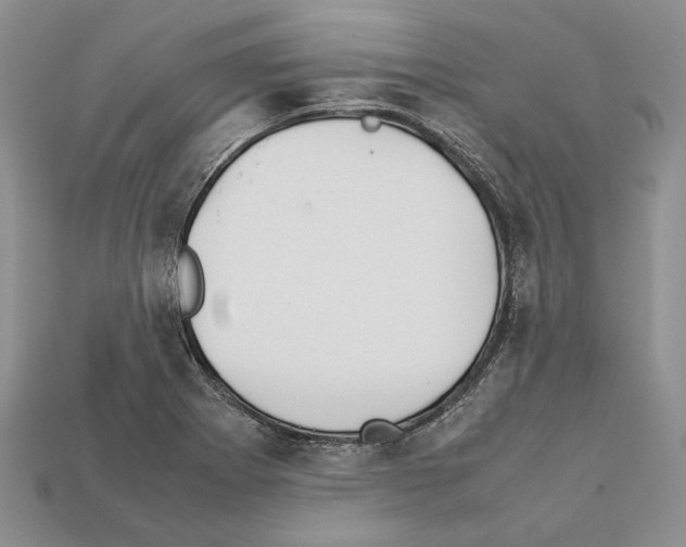 X0000112211273200909181546