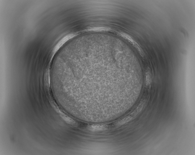 X0000112211274200909181546