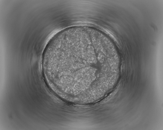 X0000112211275200909181546