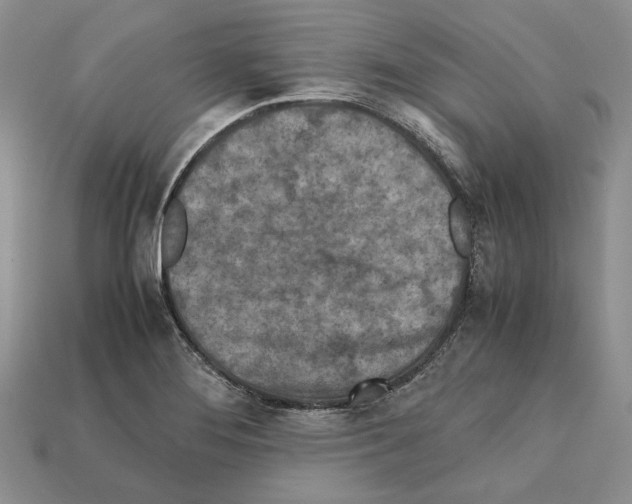 X0000112211276200909181546