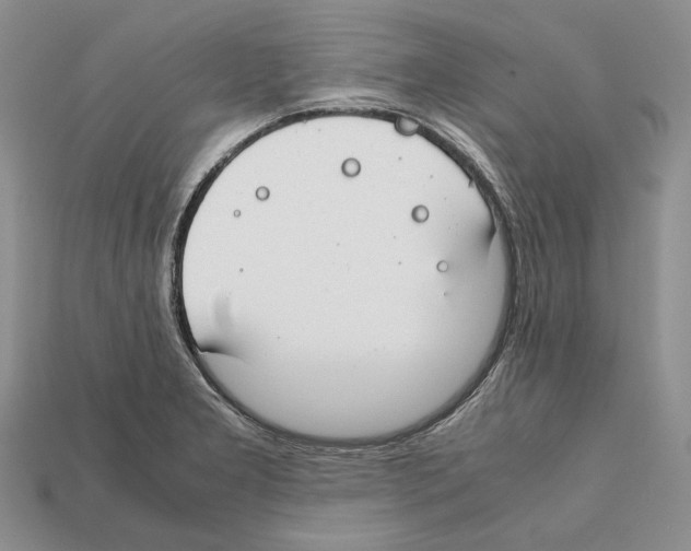 X0000112211277200909181546